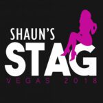 Design your own stag t shirt - Boru Shop